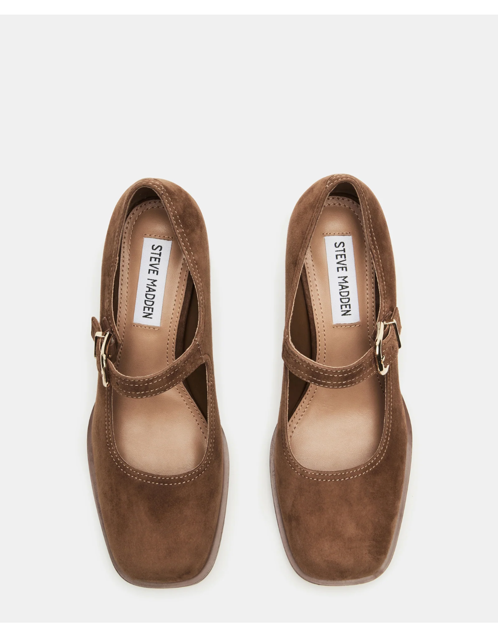 Steve Madden Steve Madden - Lisbon (Chestnut Suede)