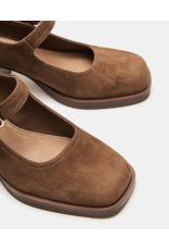 Steve Madden Steve Madden - Lisbon (Chestnut Suede)