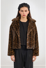 Molly Bracken Molly Bracken - Leopard Print Coat