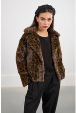 Molly Bracken Molly Bracken - Leopard Print Coat