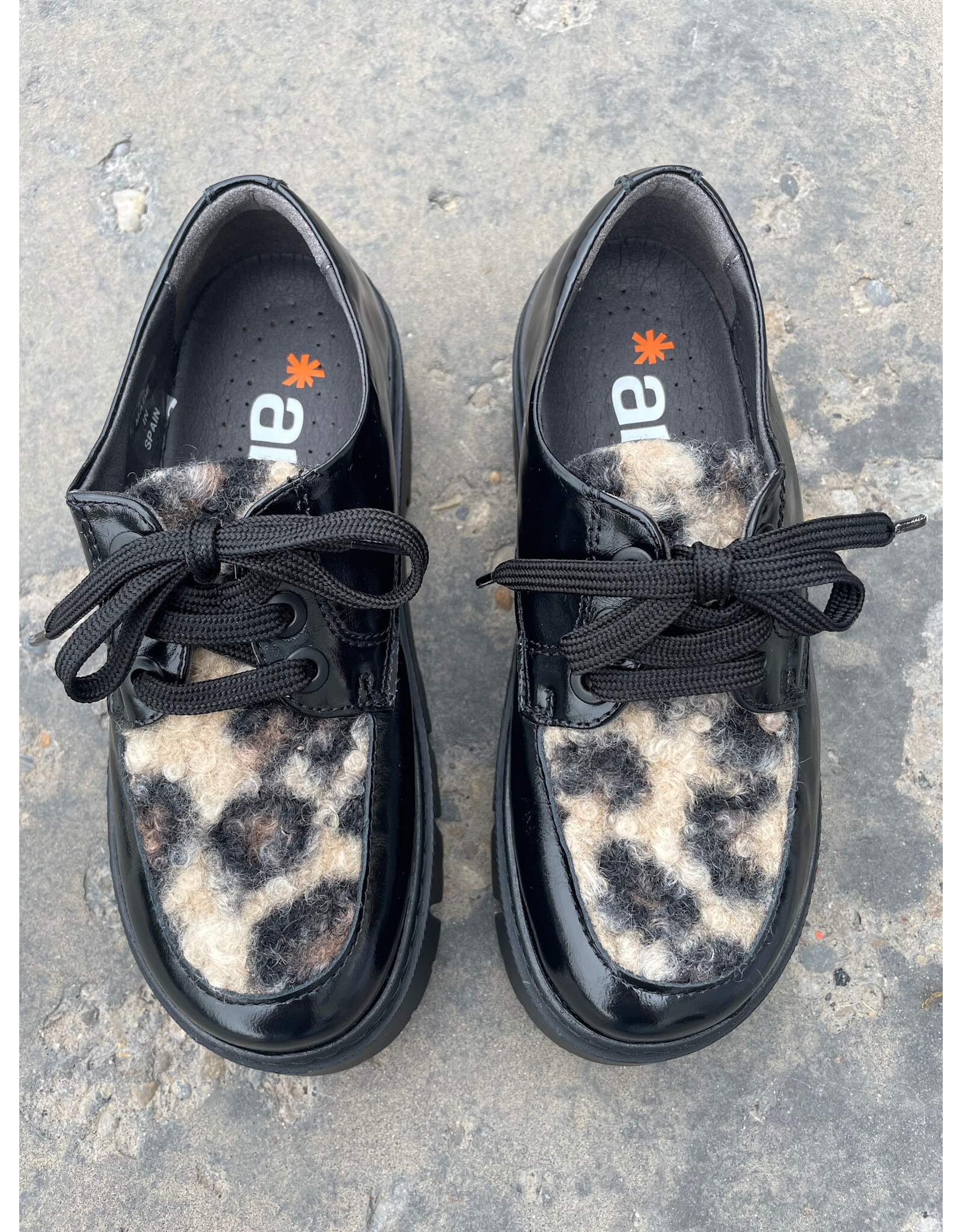 Art Art - 1765 Leeds (Shiny Blk / Leopard)