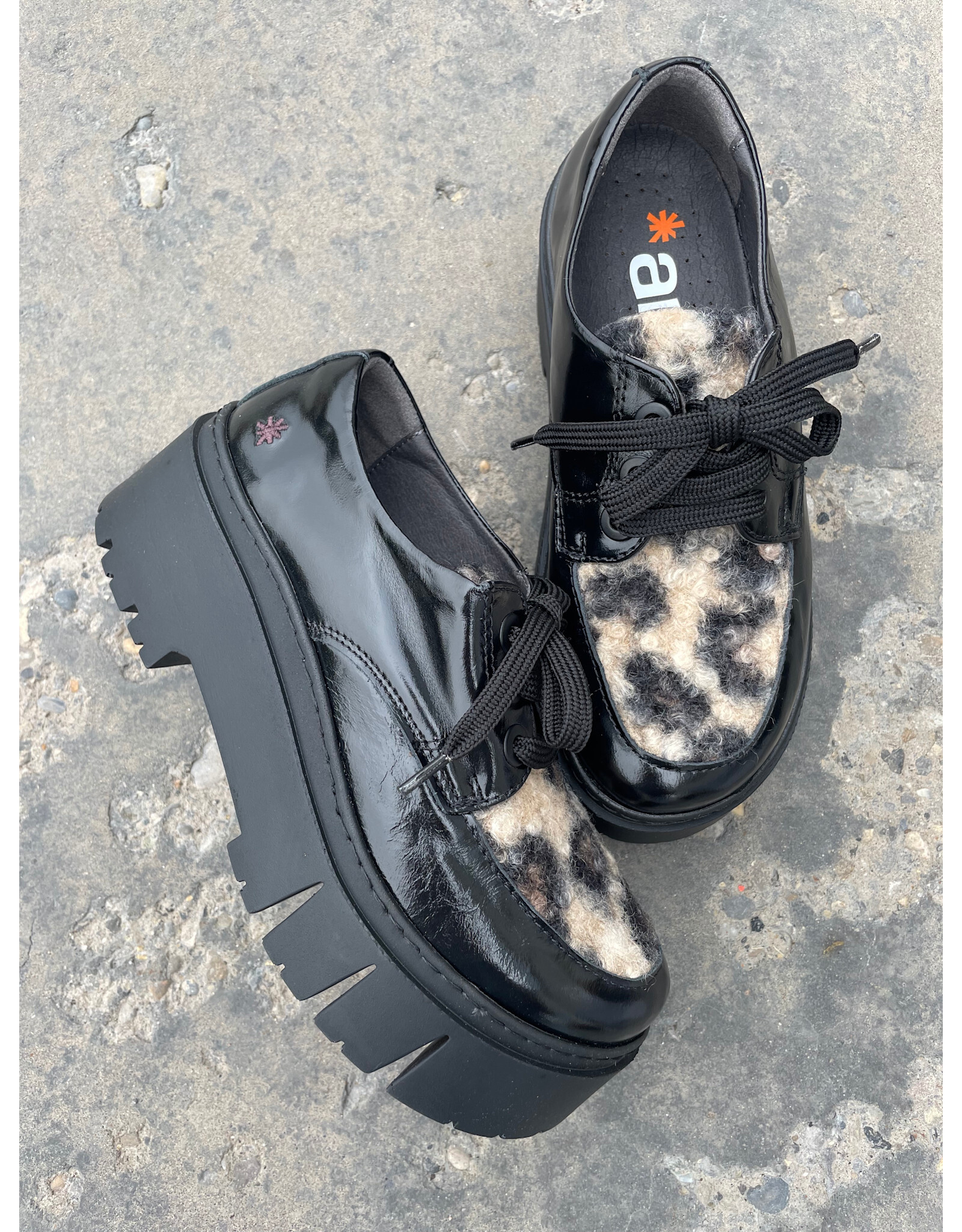 Art Art - 1765 Leeds (Shiny Blk / Leopard)