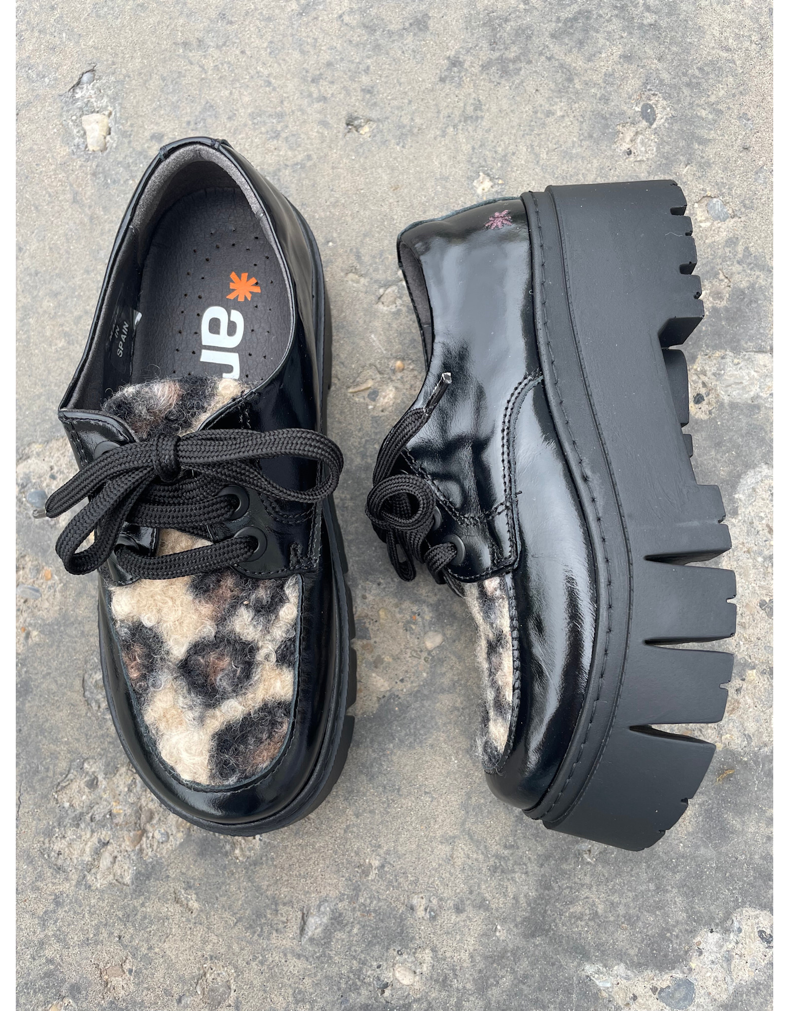 Art Art - 1765 Leeds (Shiny Blk / Leopard)