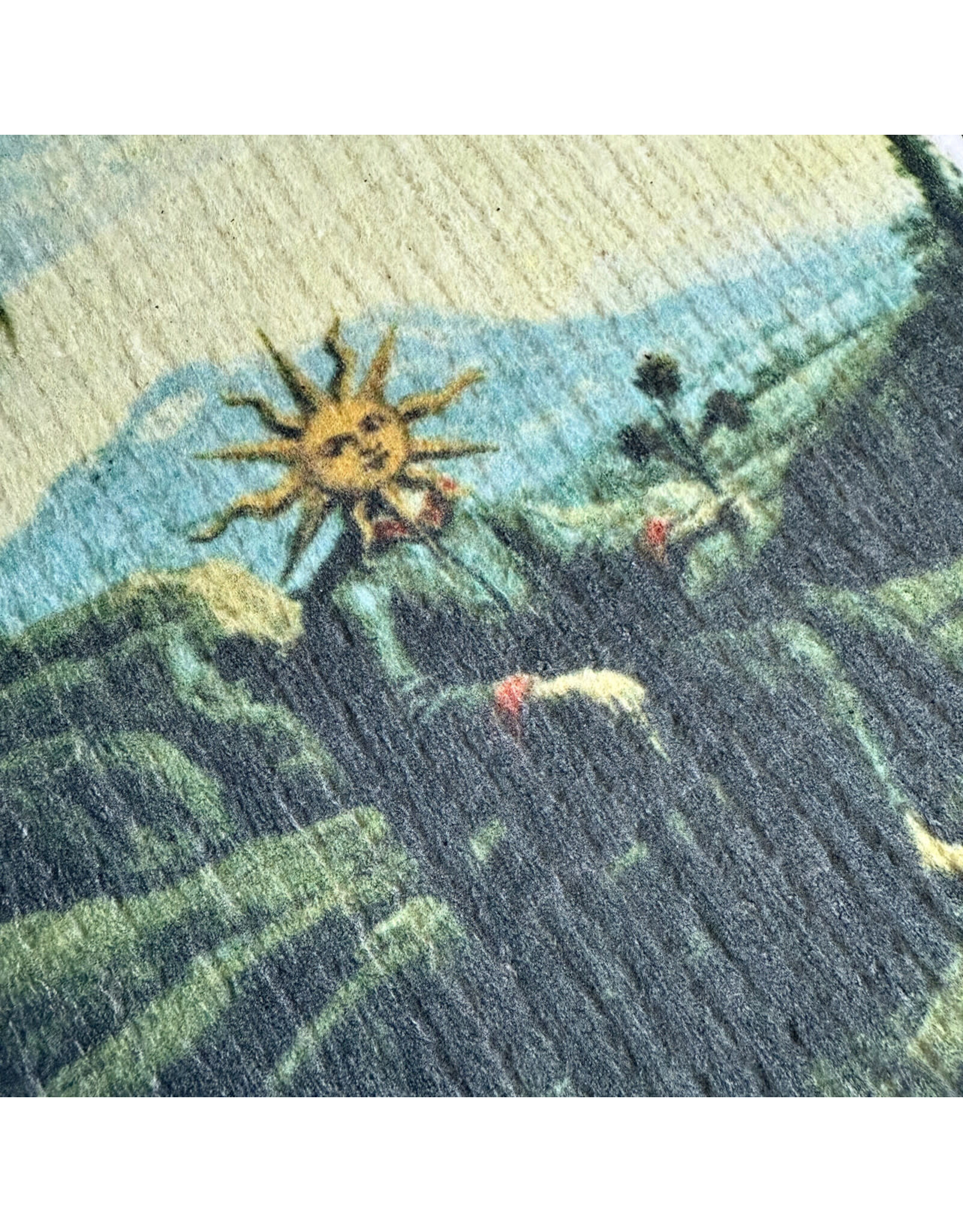 Pika & Bear Pika & Bear - "Mr. Sunshine" Sun Man Design Swedish Dishcloth