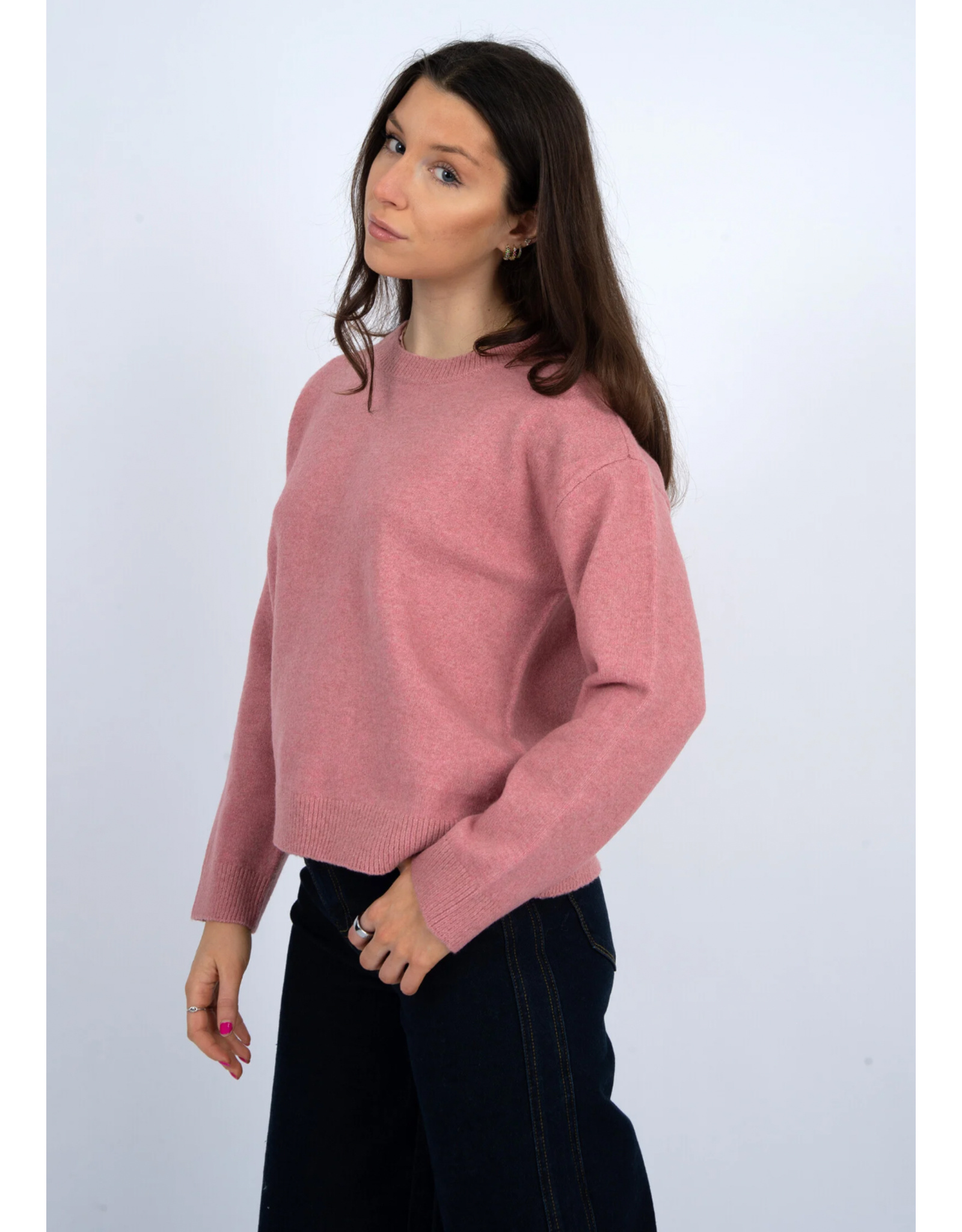 RD Style RD Style - Hera Long Sleeve Crewneck (Rose)