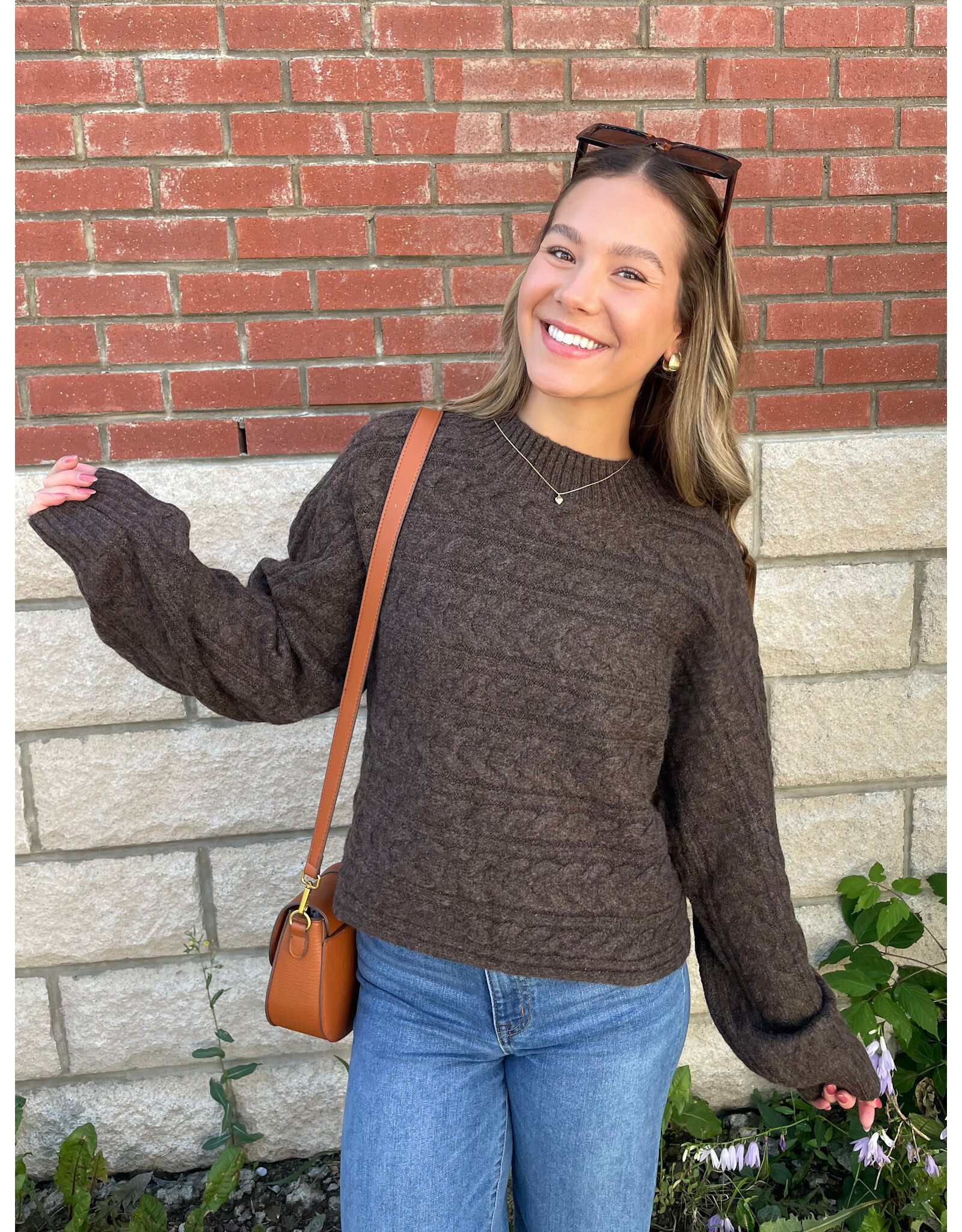 Papillon Papillon - Cable Knit Pullover (Brown)