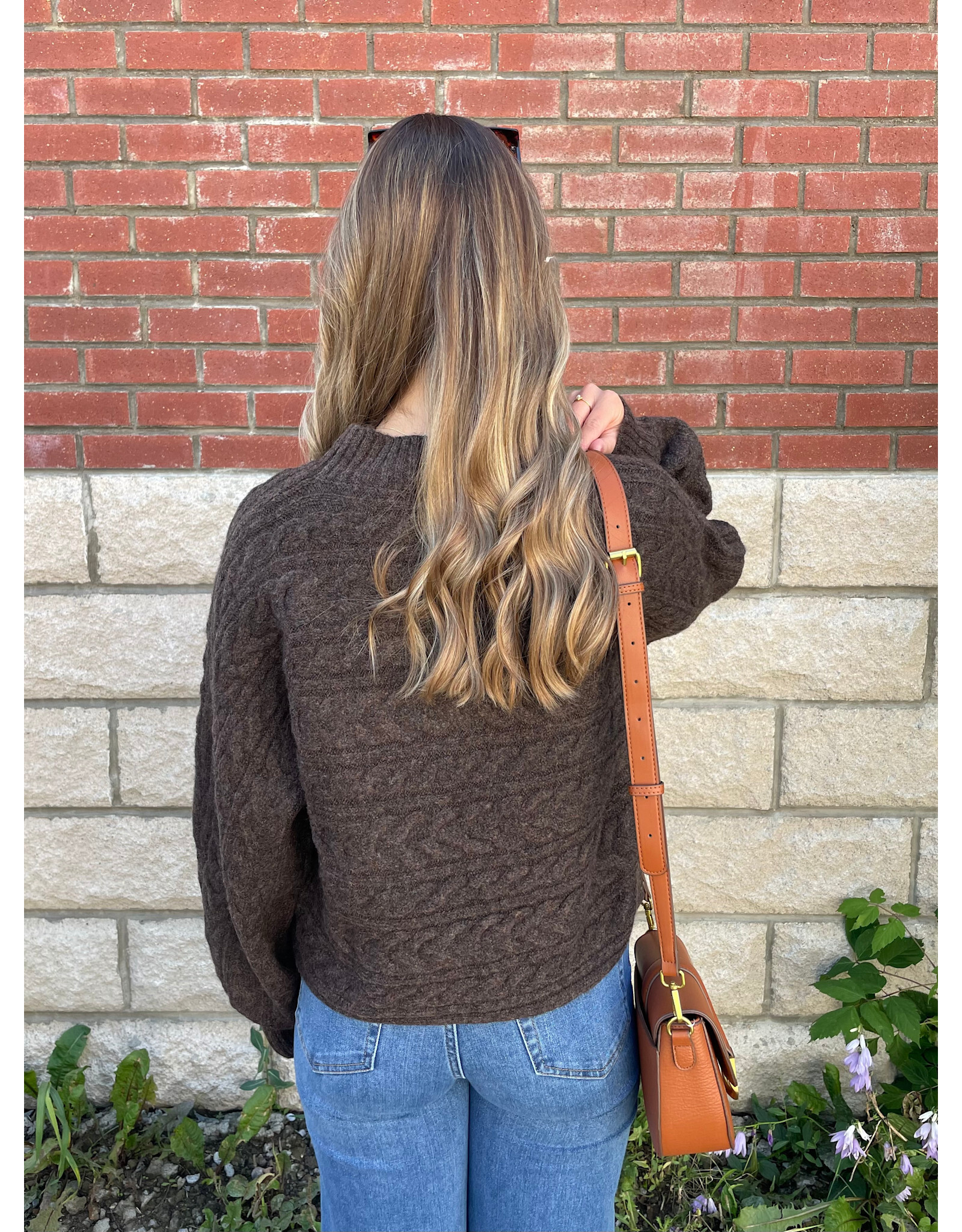 Papillon Papillon - Cable Knit Pullover (Brown)