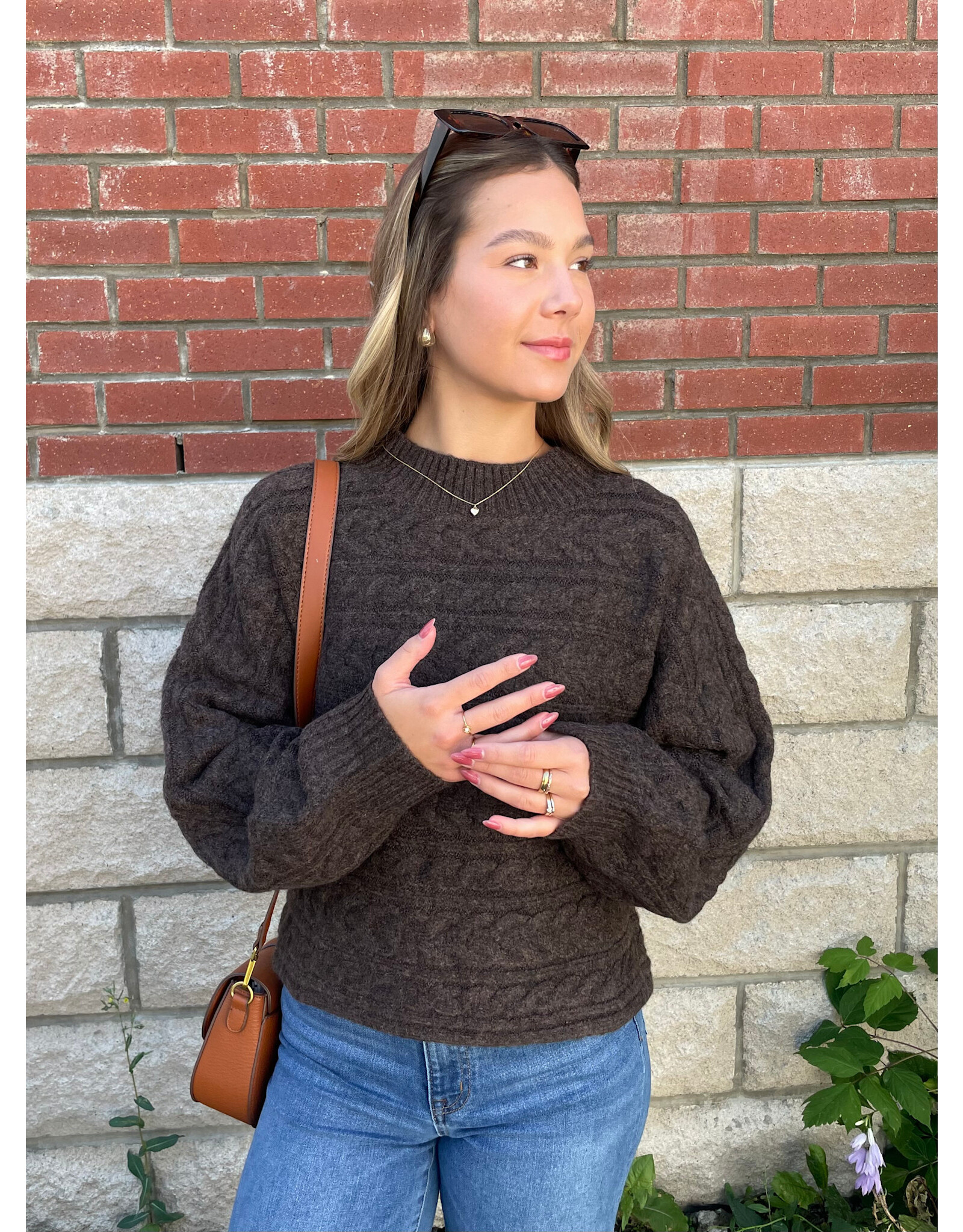 Papillon Papillon - Cable Knit Pullover (Brown)