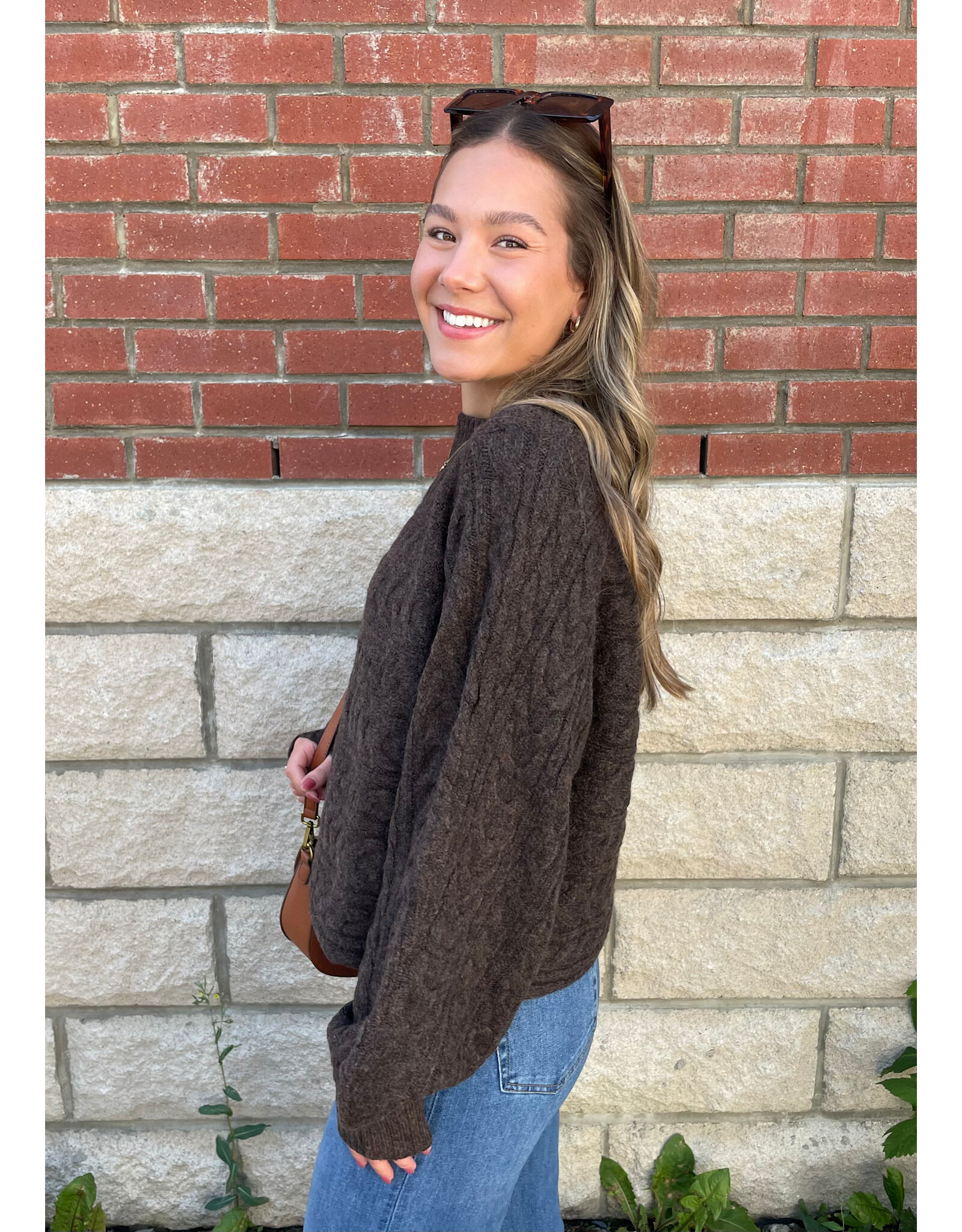 Papillon Papillon - Cable Knit Pullover (Brown)