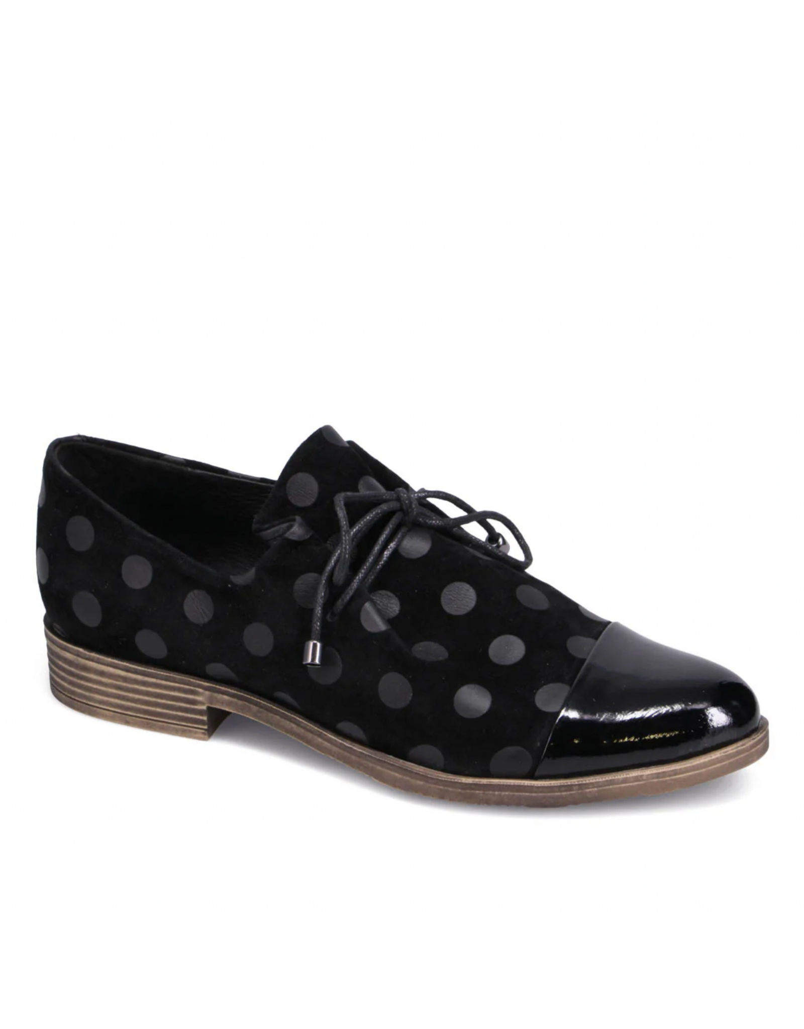 Django and Juliette Django & Juliette - Kotty (Black / Black Dot Patent Suede)