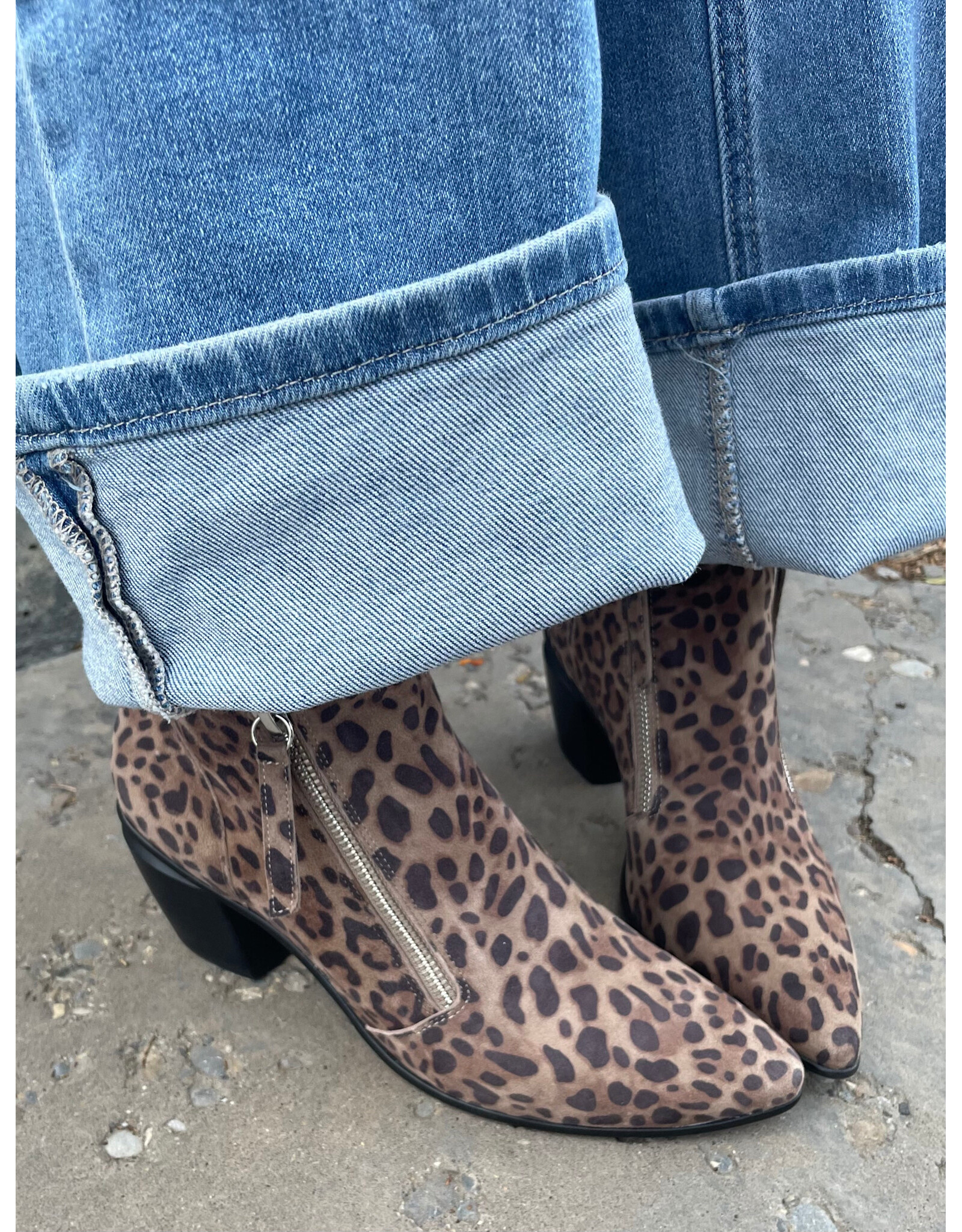 Django and Juliette Django & Juliette - Jazzy (Taupe Leopard / Black Suede)