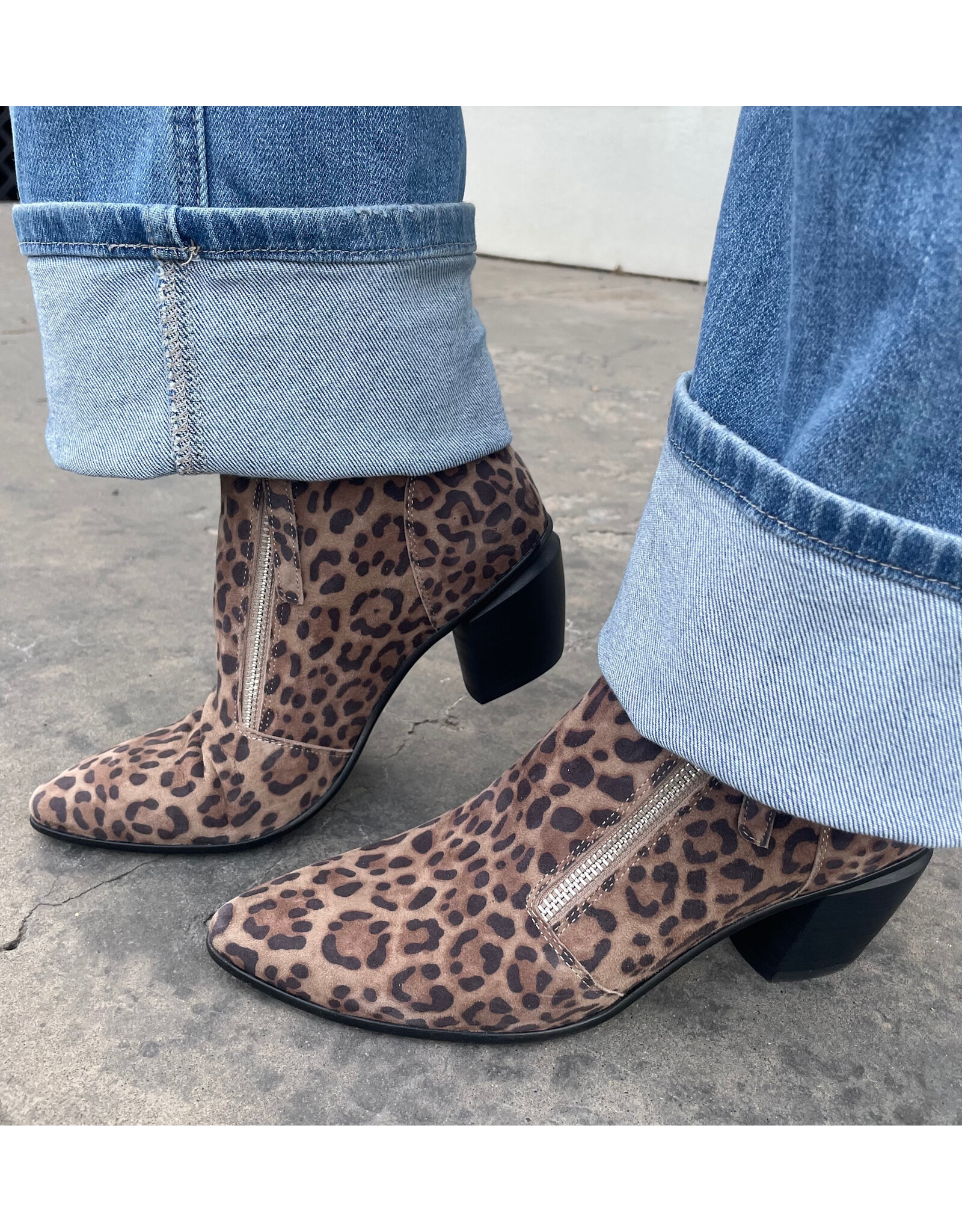 Django and Juliette Django & Juliette - Jazzy (Taupe Leopard / Black Suede)