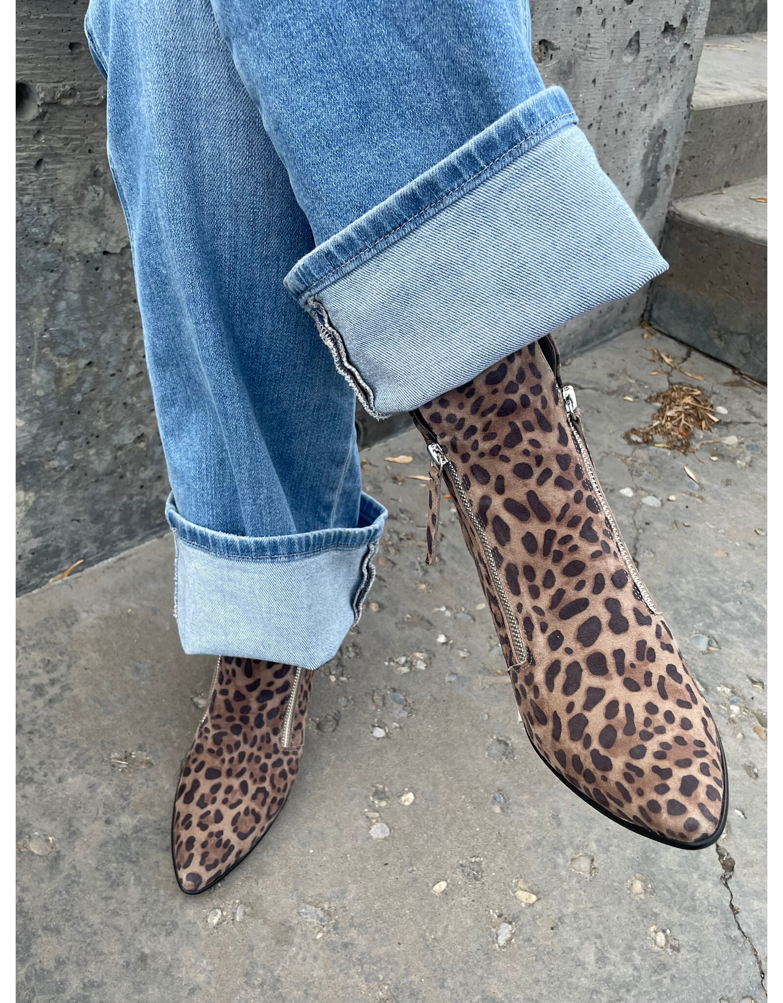 Django and Juliette Django & Juliette - Jazzy (Taupe Leopard / Black Suede)