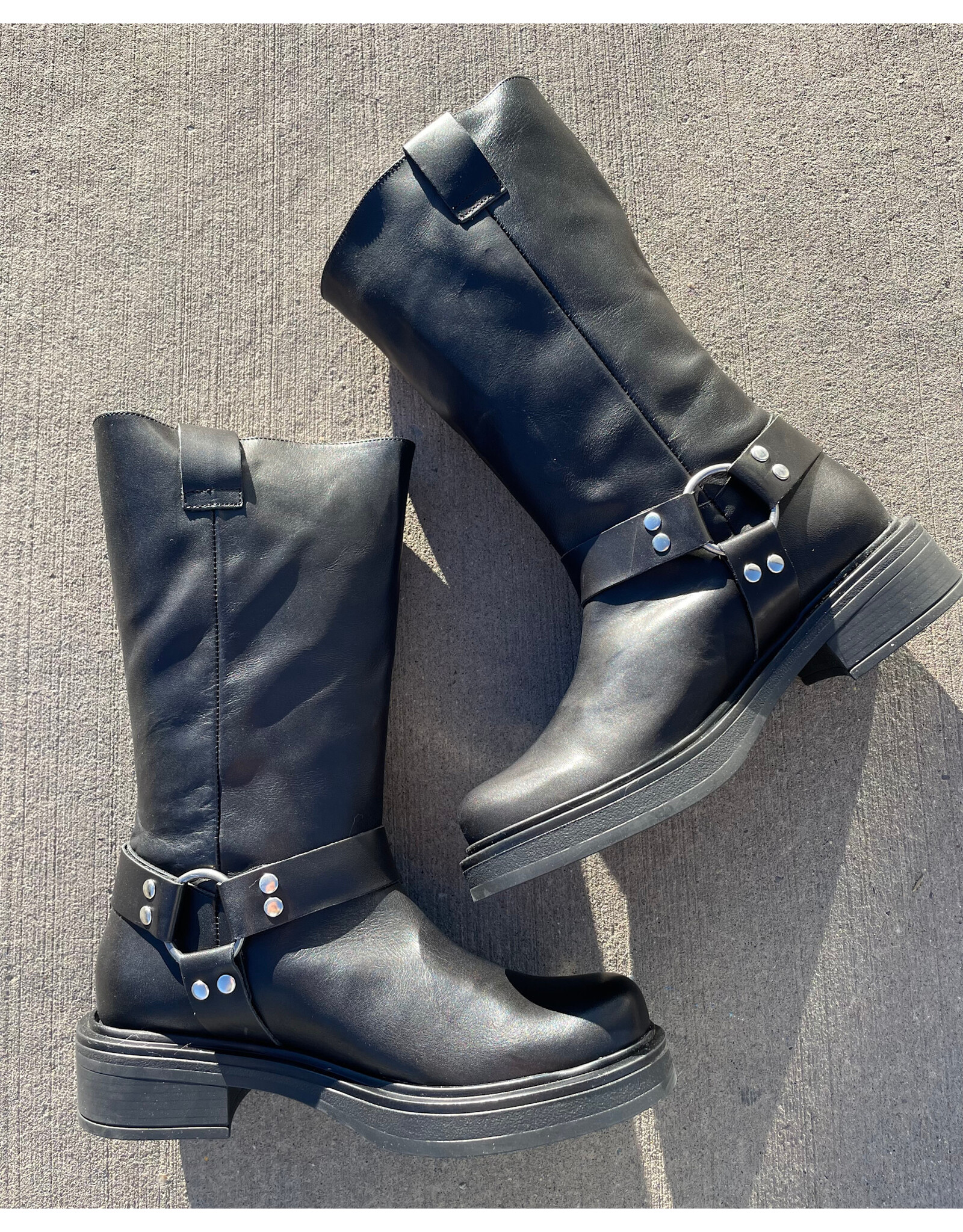 David Tyler David Tyler - Botin Moto Boot (Black)