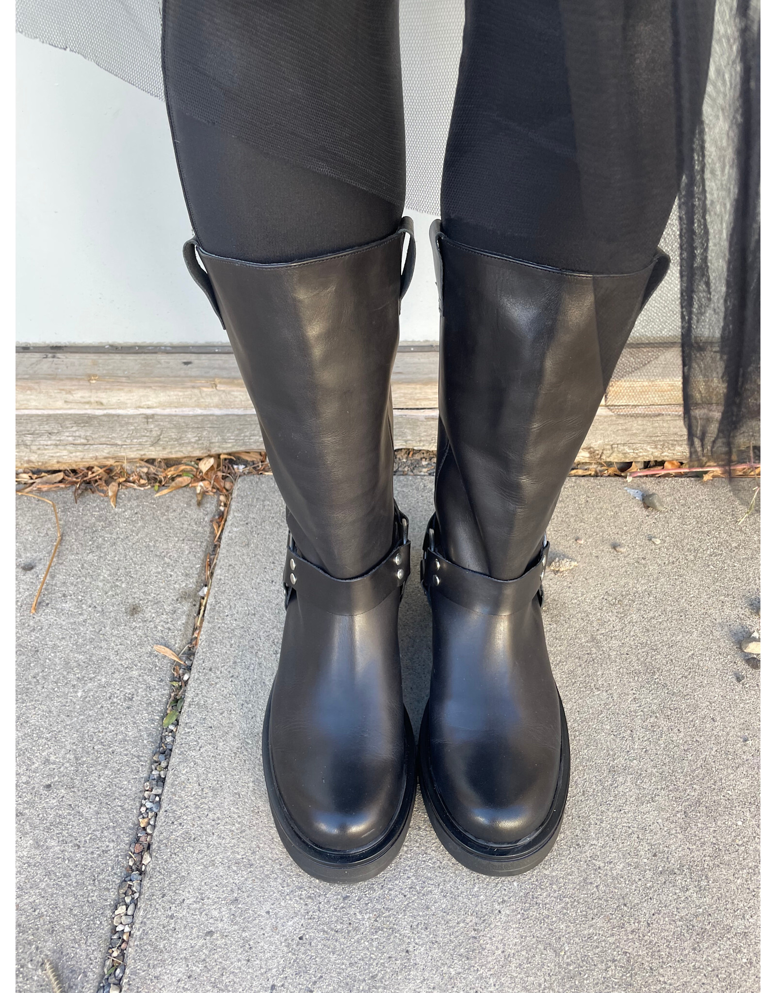 David Tyler David Tyler - Botin Moto Boot (Black)