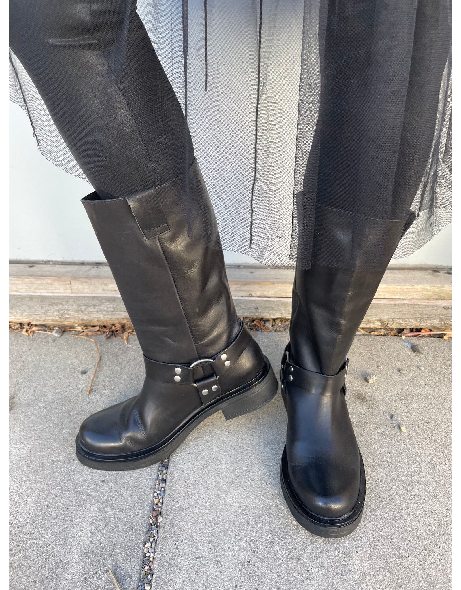 David Tyler David Tyler - Botin Moto Boot (Black)