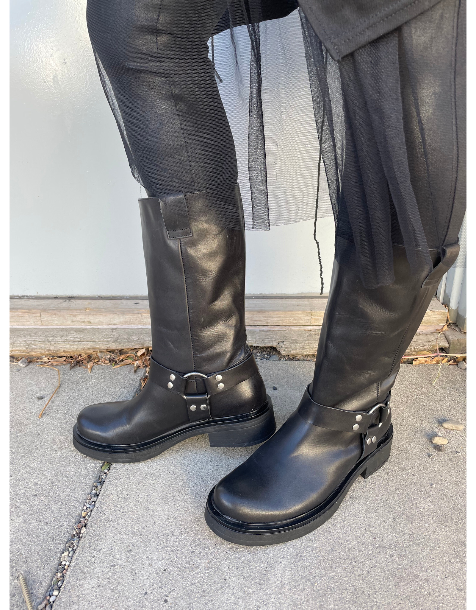 David Tyler David Tyler - Botin Moto Boot (Black)