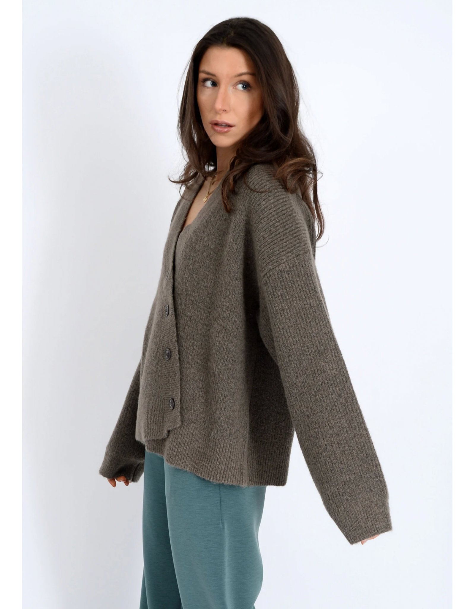 RD Style RD Style - Egaltine Long Sleeve Asymmetric Cardigan (Mushroom)