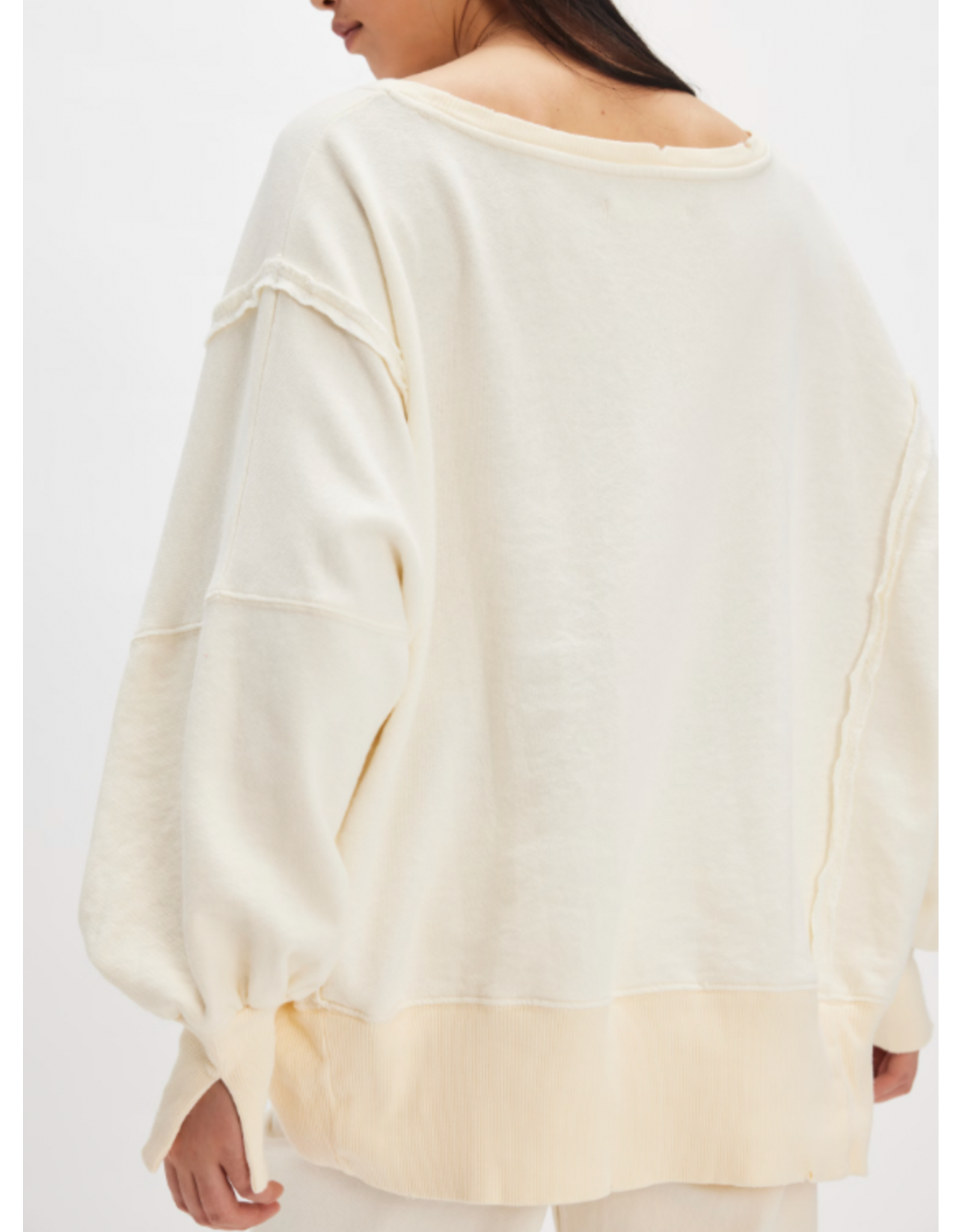 Free people Free People - Graphic Camden Pullover (Sardine Combo)