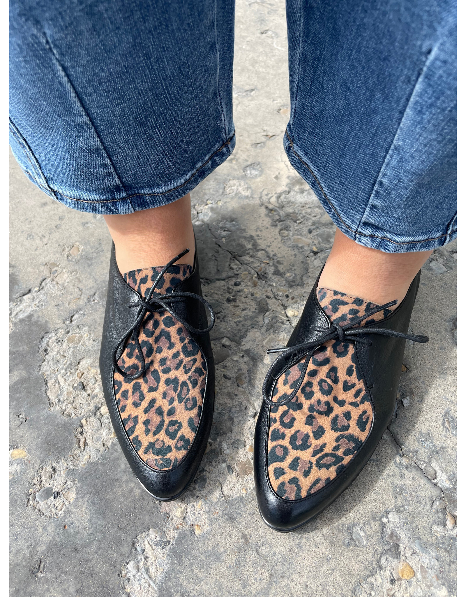 Django and Juliette Django & Juliette - Georgy (Black - Tan Leopard Leather - Suede)