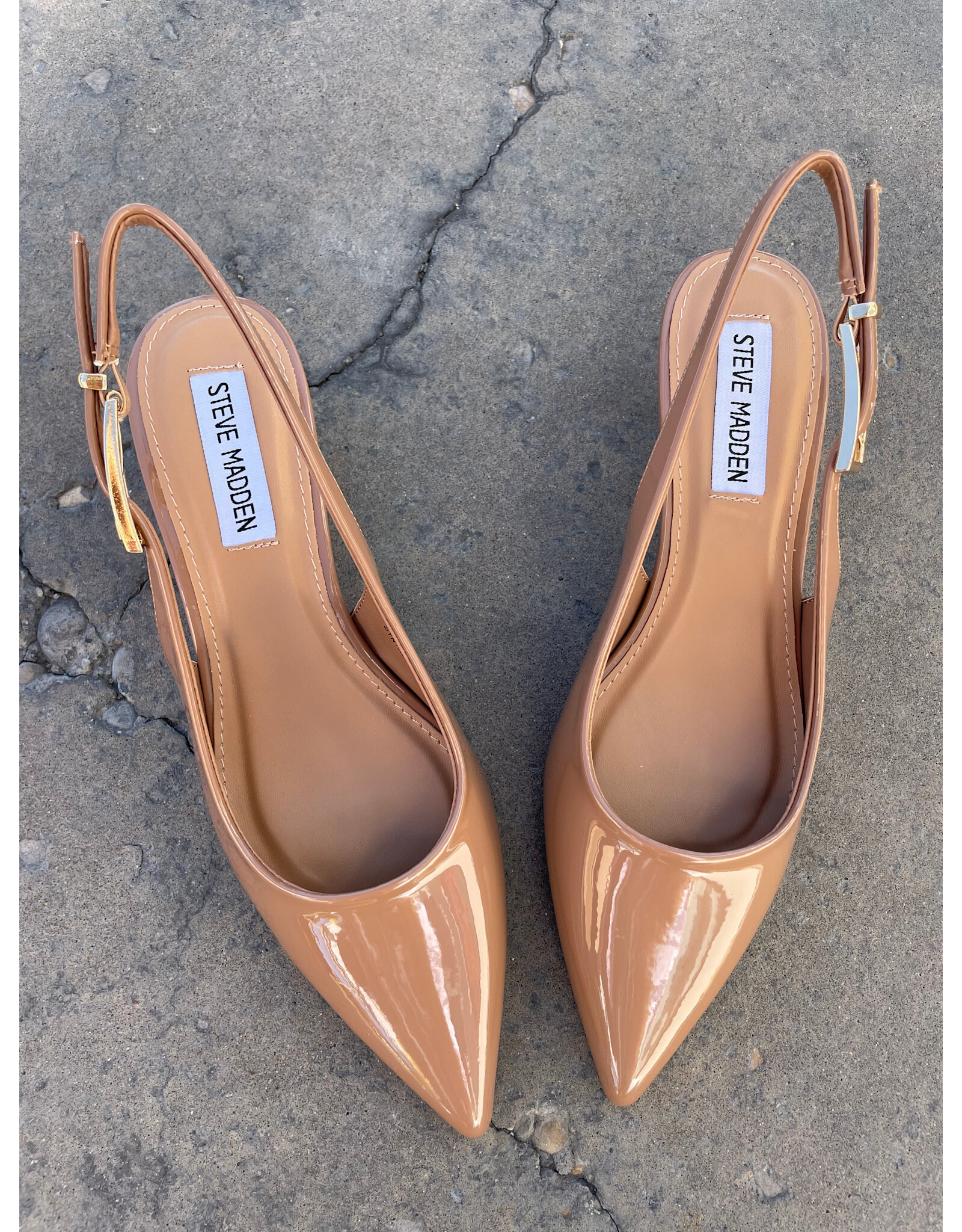 Steve Madden Steve Madden - Delaney (Mocha Patent PU)