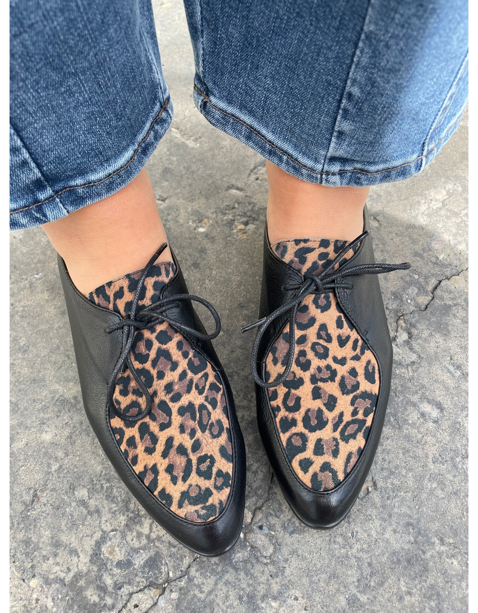 Django and Juliette Django & Juliette - Georgy (Black - Tan Leopard Leather - Suede)