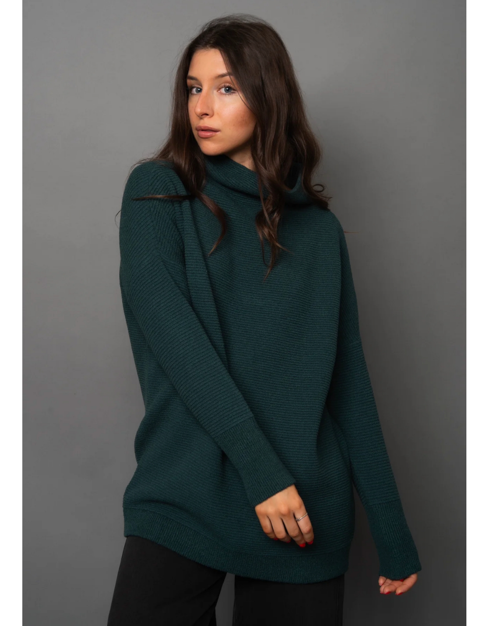 RD Style RD Style - Nancy ottoman mock neck sweater (Dark Green)