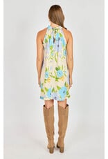 Sadie & Sage Sadie & Sage - Fresh Cut Mini Dress (Cream / Multi)