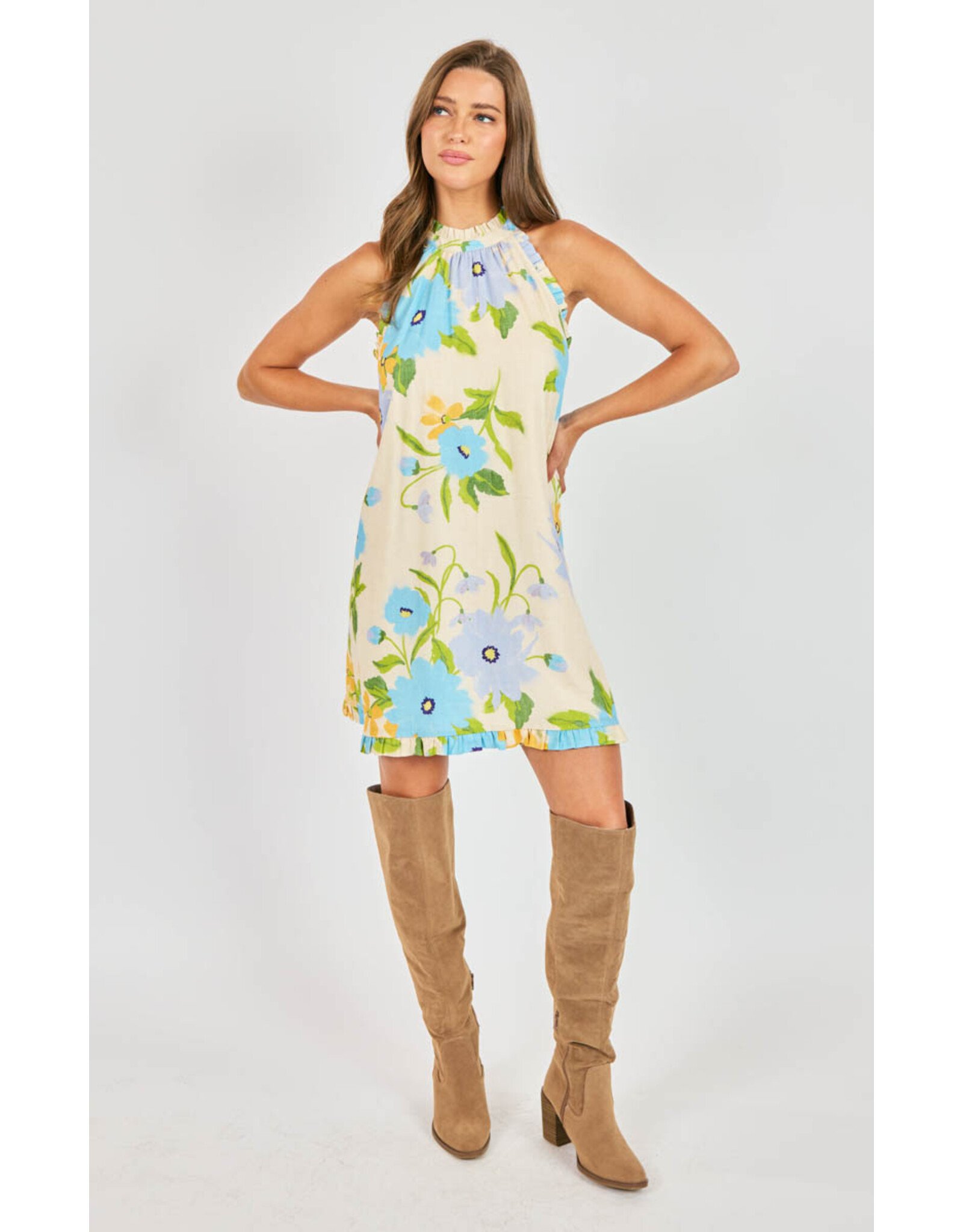 Sadie & Sage Sadie & Sage - Fresh Cut Mini Dress (Cream / Multi)