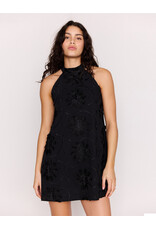 Mink Pink Mink Pink - Roma High Neck Mini Dress (Black)