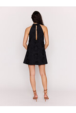 Mink Pink Mink Pink - Roma High Neck Mini Dress (Black)