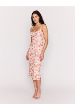Mink Pink Mink Pink - Camille Mesh Bustier Dress (Pink Floral)