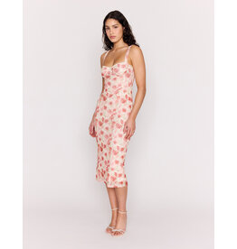 Mink Pink Mink Pink - Camille Mesh Bustier Dress (Pink Floral)
