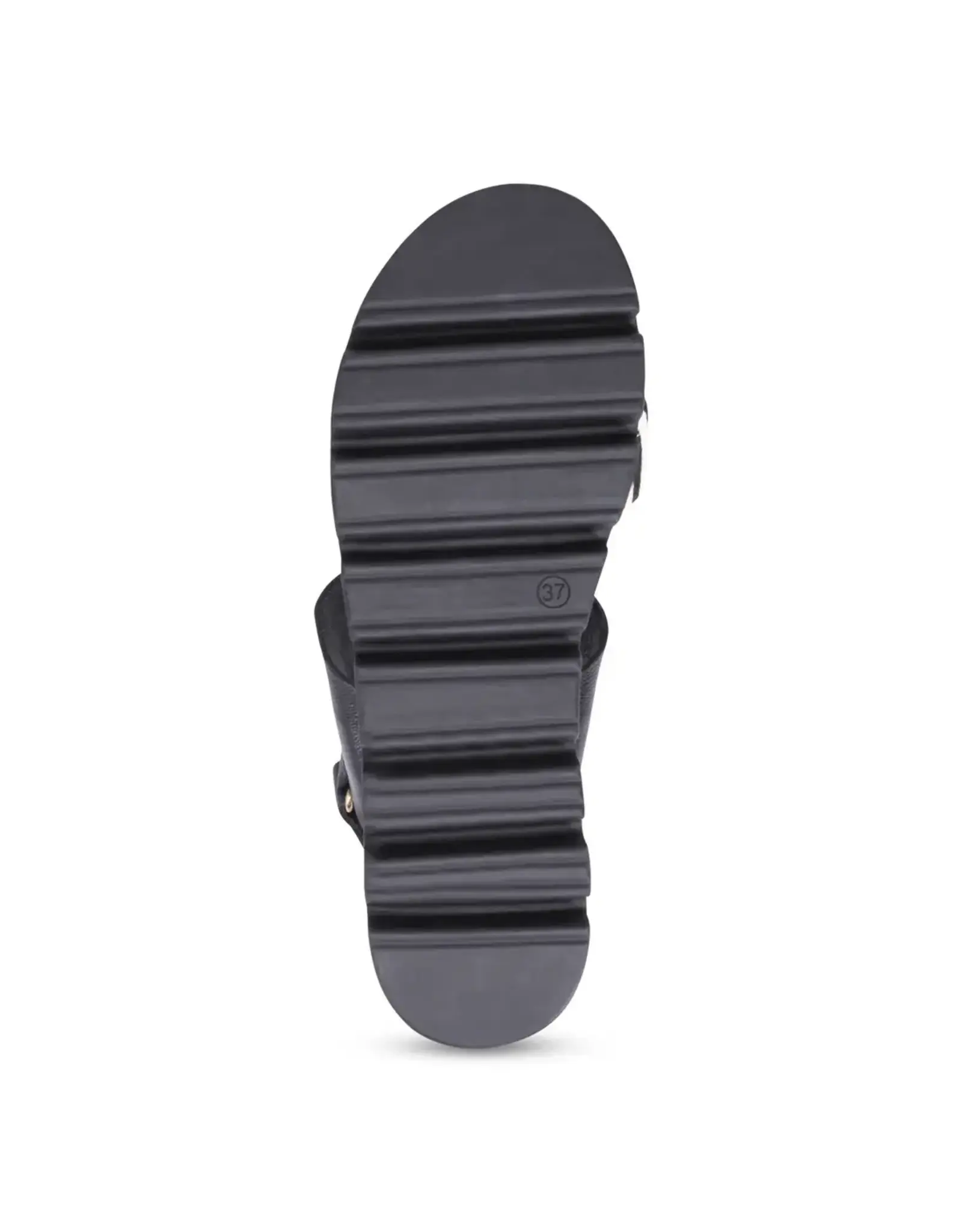 Django and Juliette Django & Juliette - Runar Platform Sandal (Zebra / Blk / Pony / Leather)