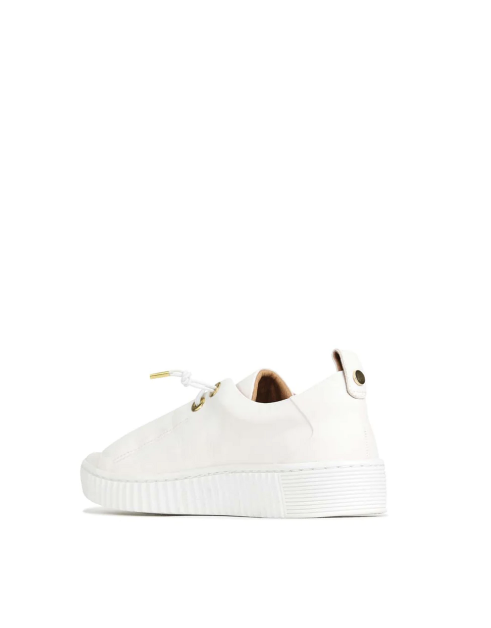 EOS EOS - Jool Sneaker (White / Gold Eyelet)