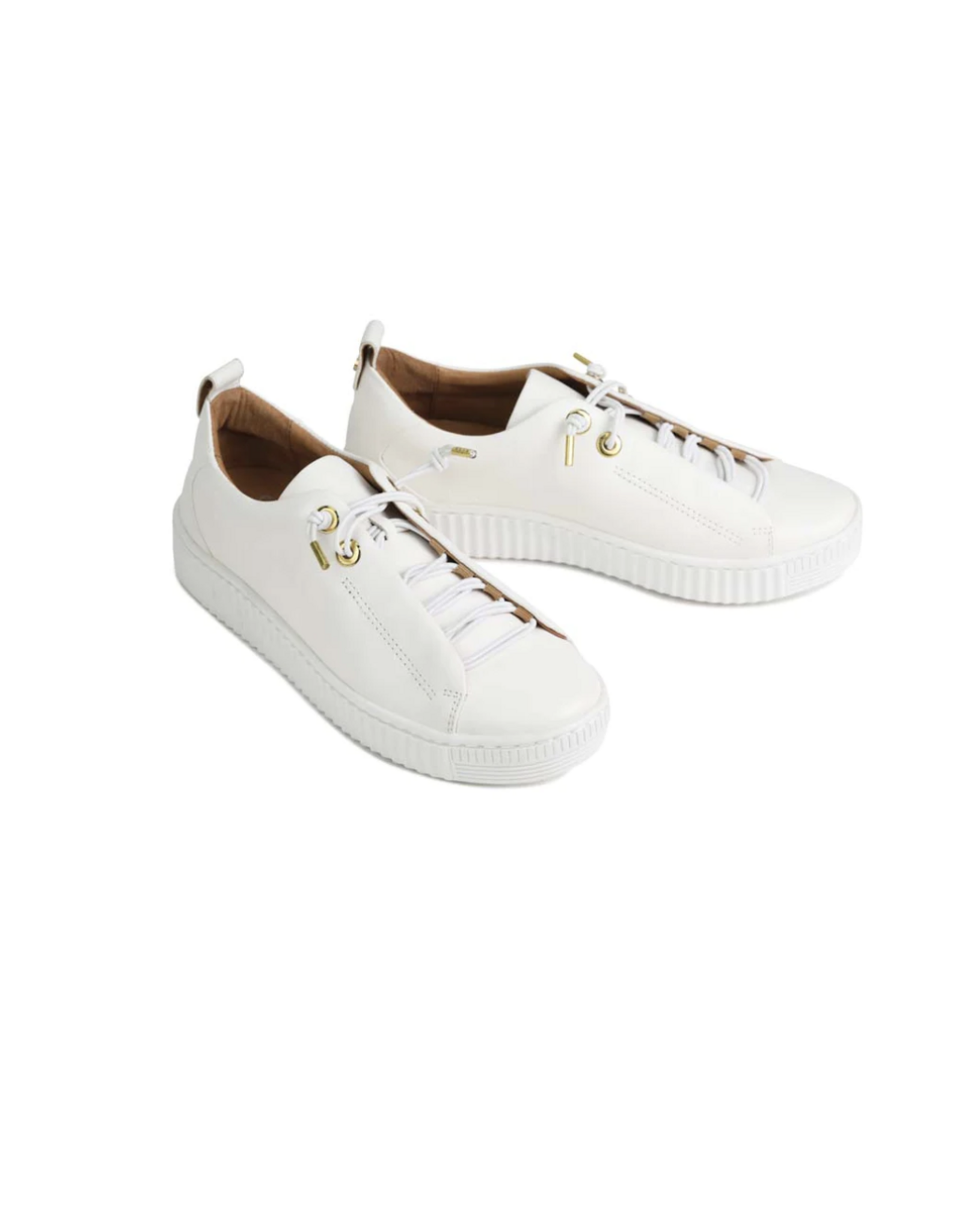 EOS EOS - Jool Sneaker (White / Gold Eyelet)