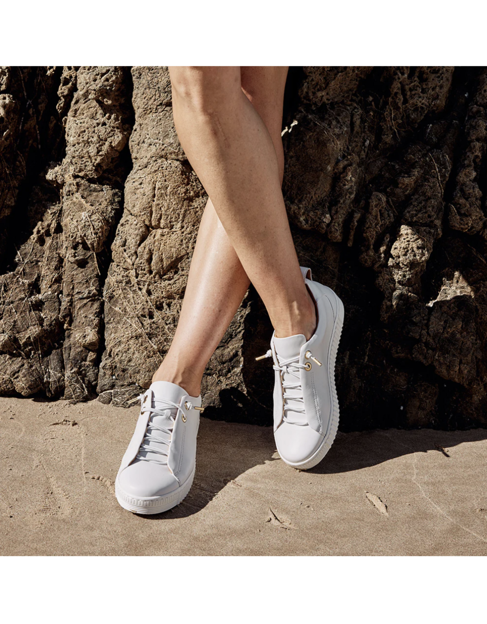 EOS EOS - Jool Sneaker (White / Gold Eyelet)