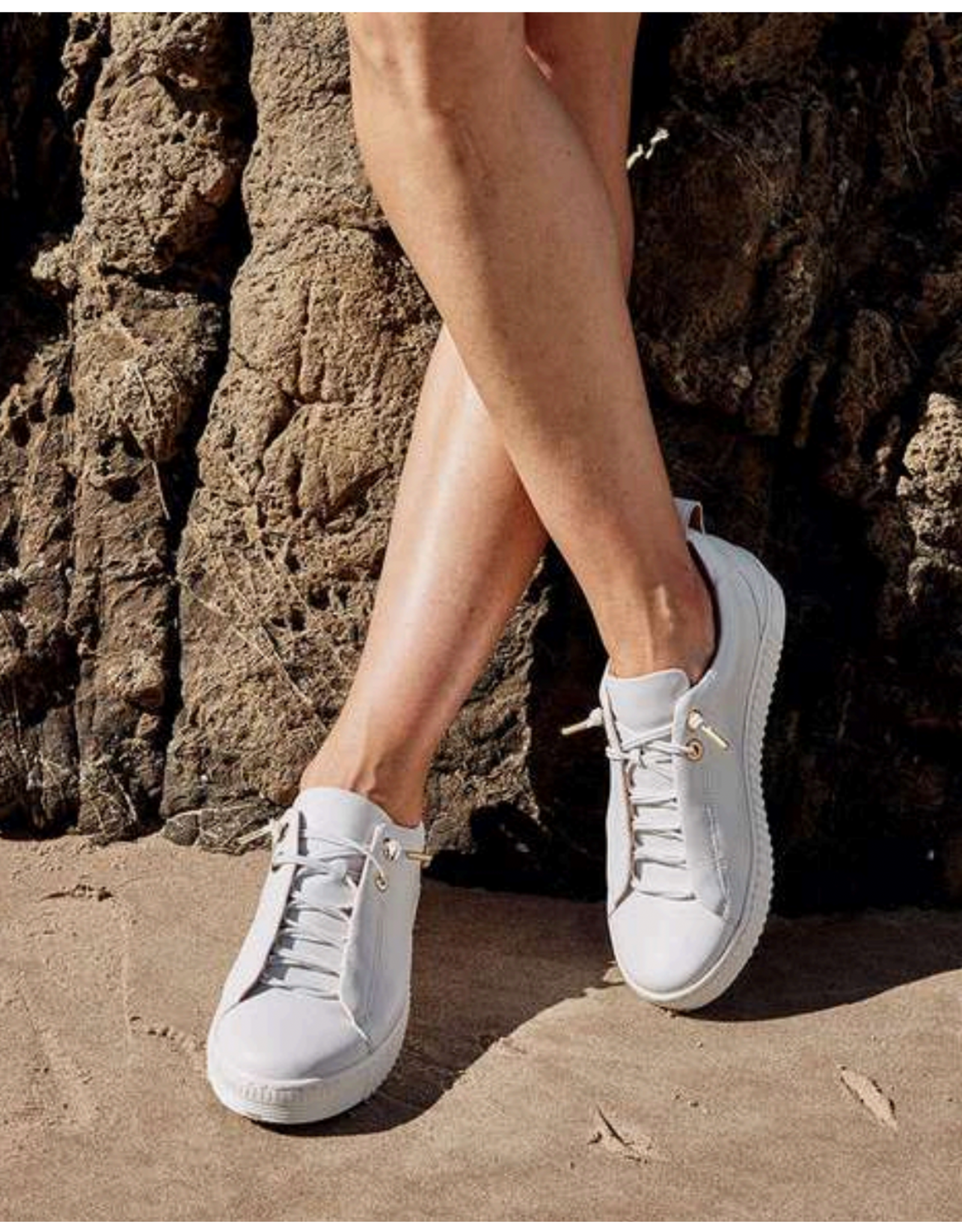 EOS EOS - Jool Sneaker (White / Gold Eyelet)
