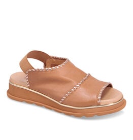 Django and Juliette Django & Juliette - Carlenet Leather Sandal (Dark Tan - Champagne)