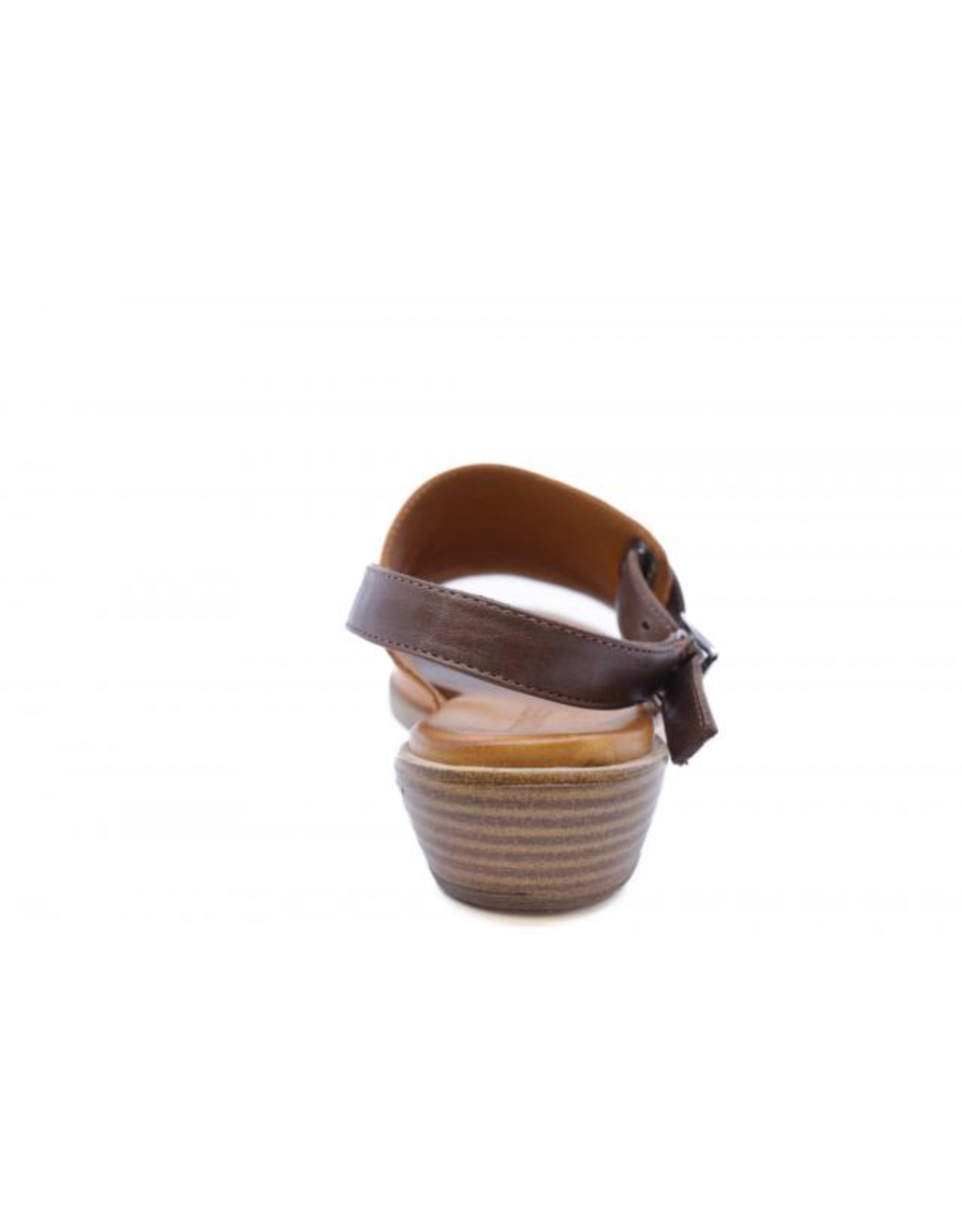 Roamers Roamers - Jude (Coconut / Brown)