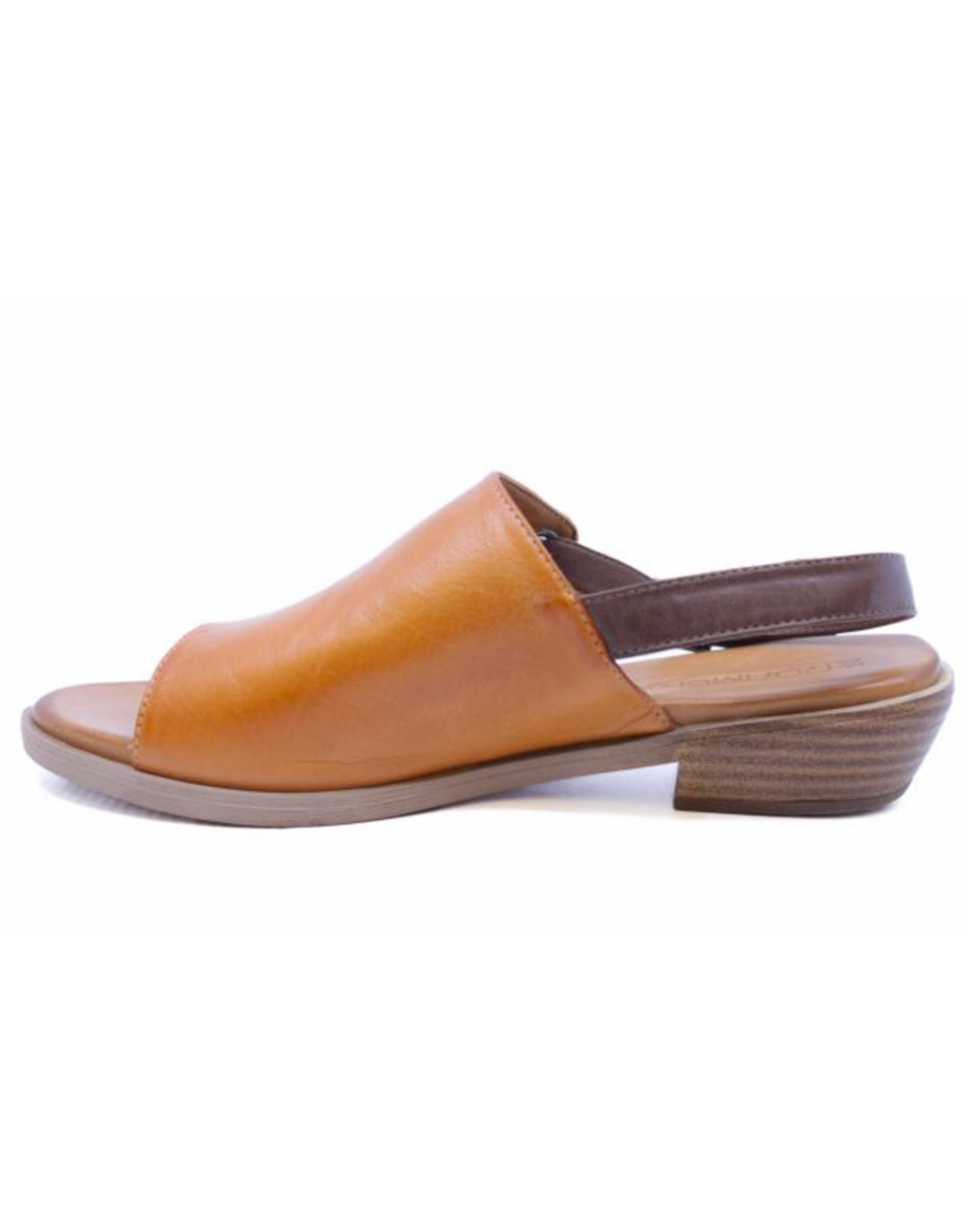 Roamers Roamers - Jude (Coconut / Brown)