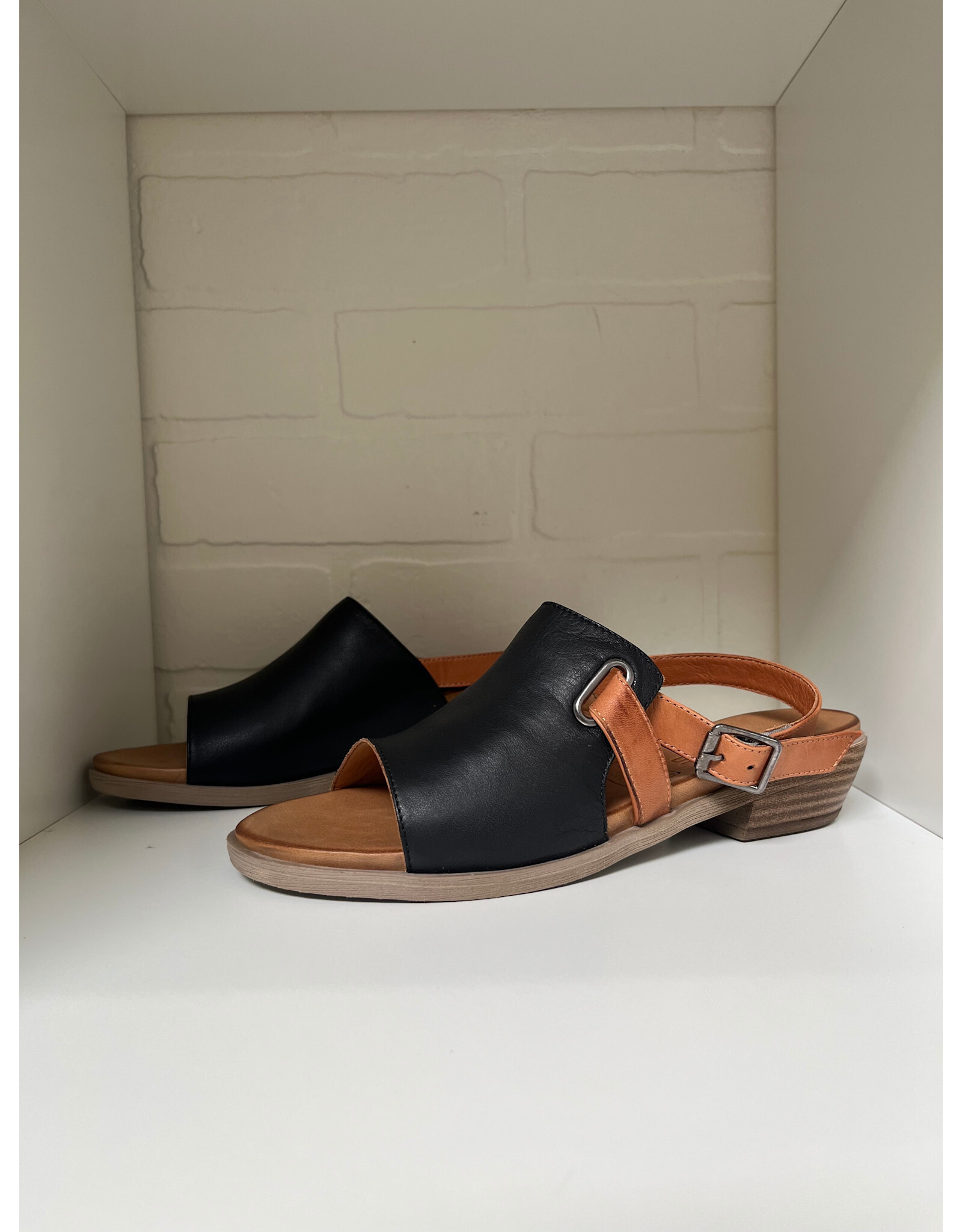 Roamers Roamers - Jude (Black / Coconut)