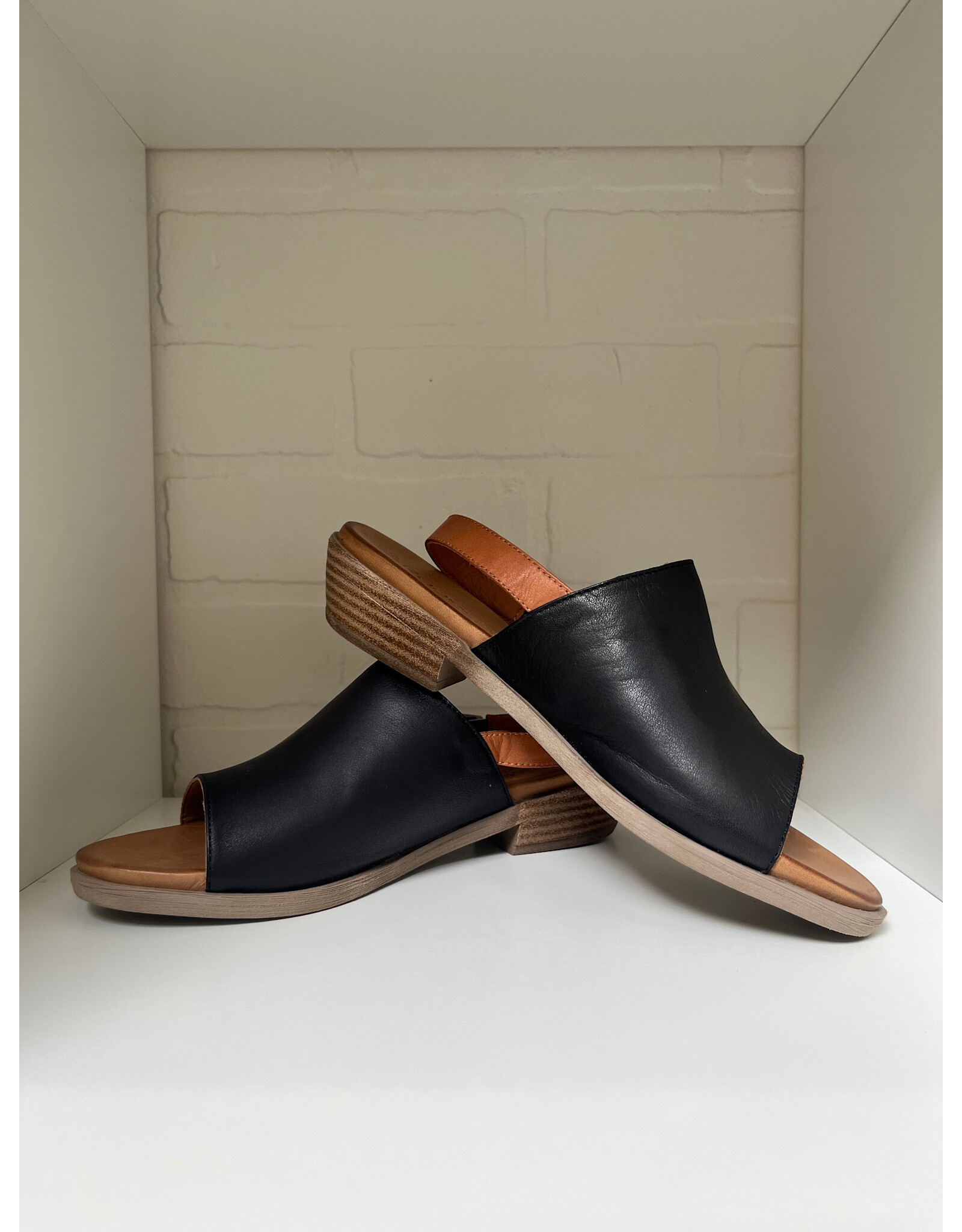 Roamers Roamers - Jude (Black / Coconut)