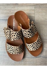 Los Cabos Los Cabos - Doti (Cheetah)