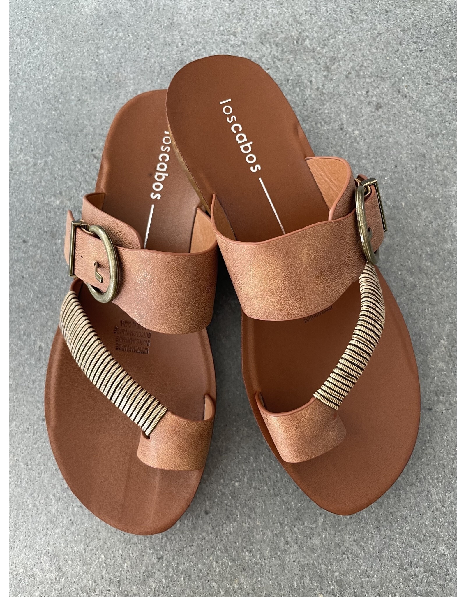 Los Cabos Los Cabos - Bria (bronze)