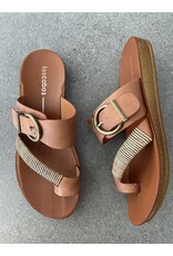 Los Cabos Los Cabos - Bria (bronze)