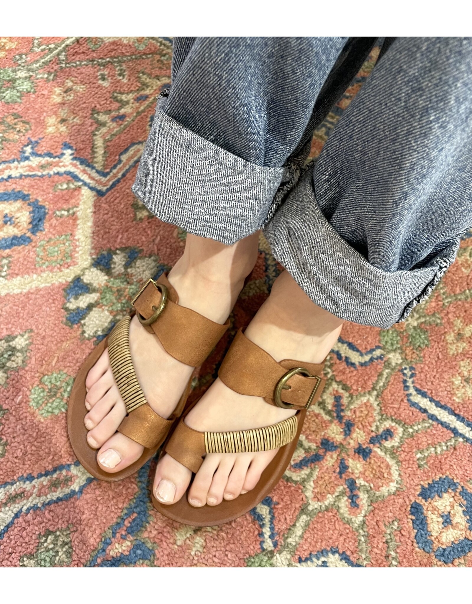 Los Cabos Los Cabos - Bria (bronze)