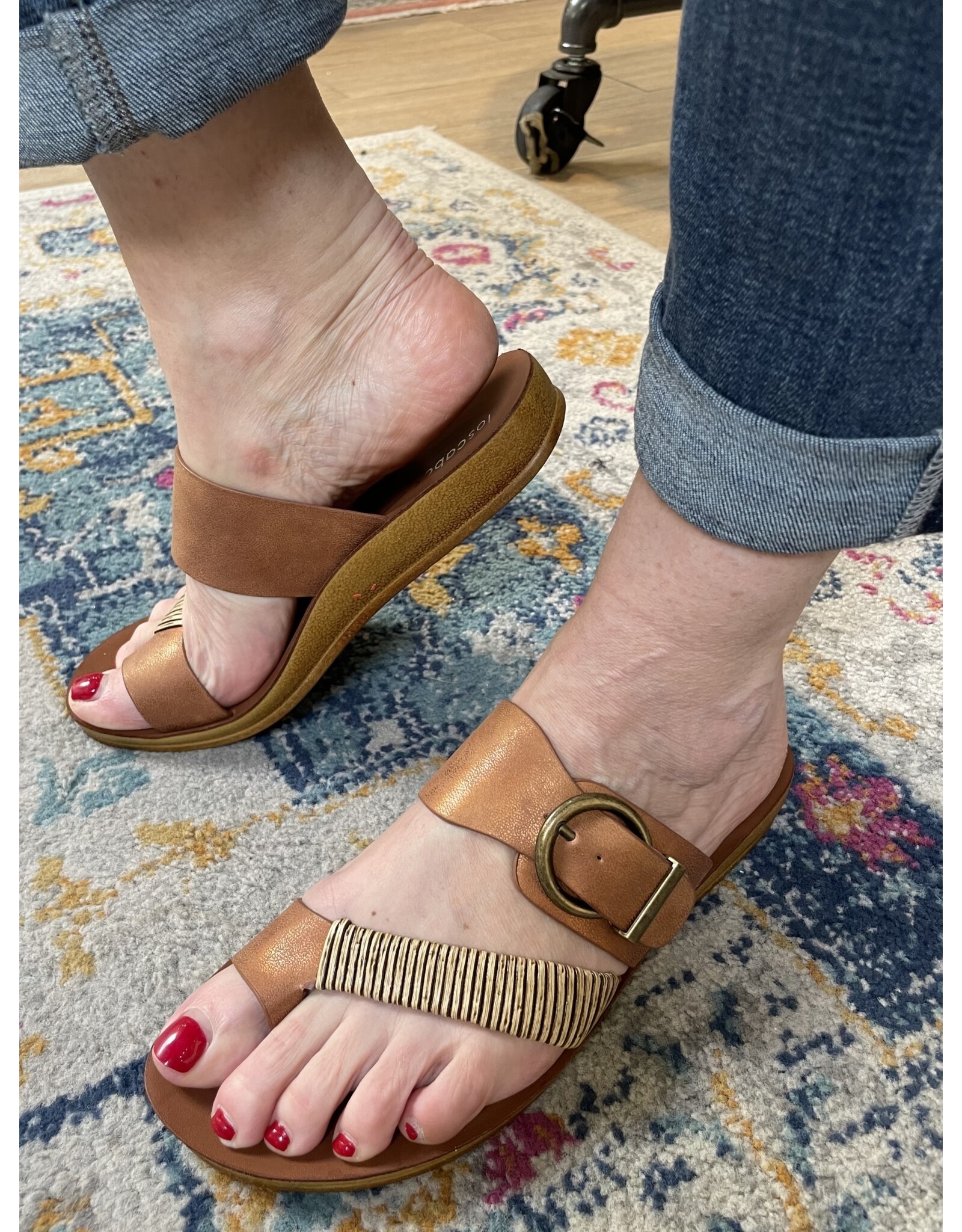 Los Cabos Los Cabos - Bria (bronze)