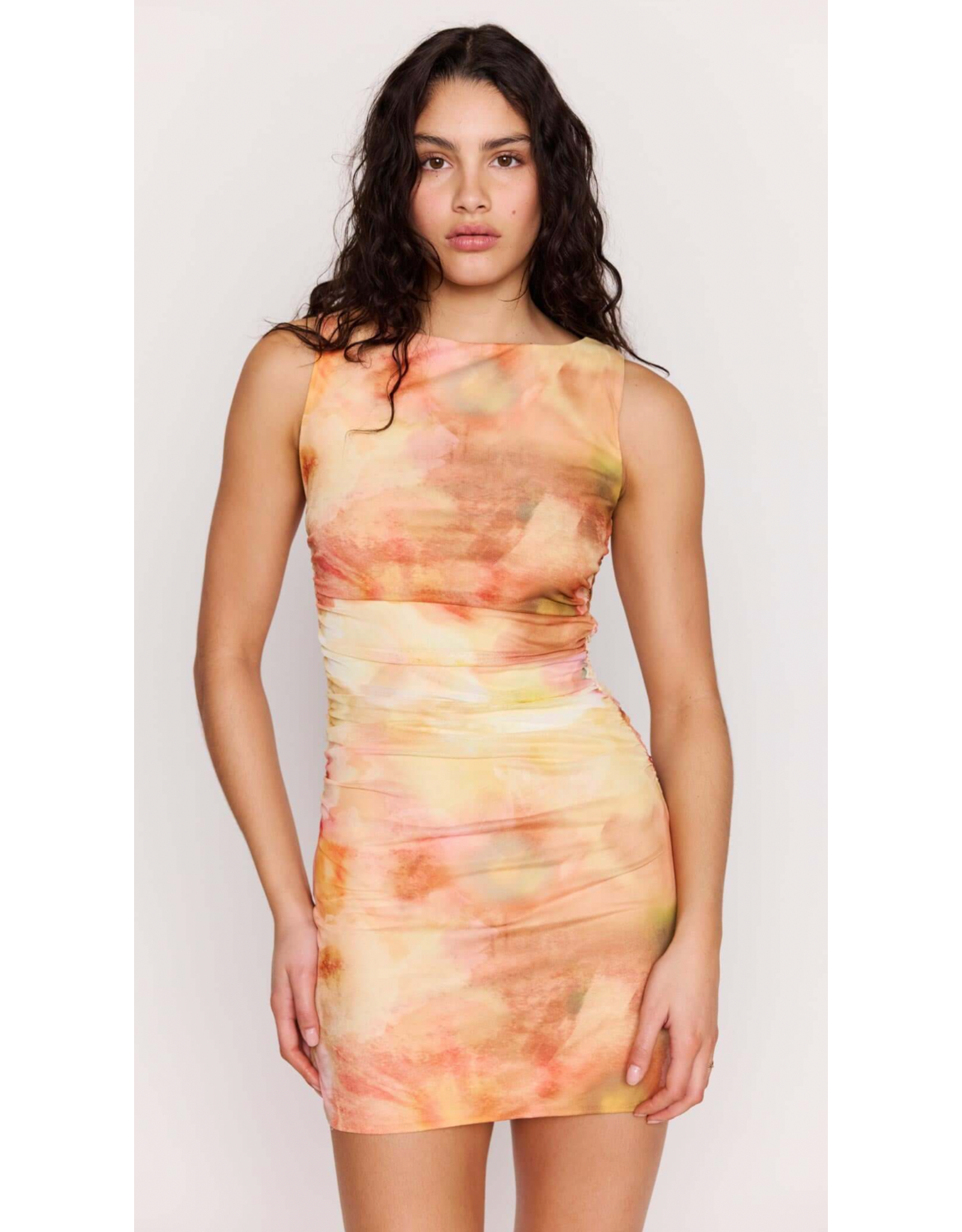 Mink Pink Mink Pink - Aria Mesh Mini Dress (Watercolour Floral)