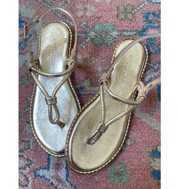 Ateliers Ateliers - Bristol (Light Gold)